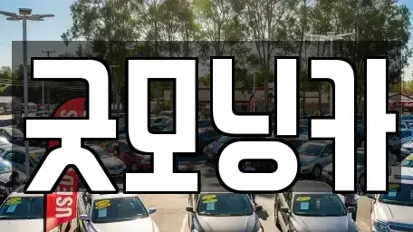 강원특별자치도 춘천시 중앙로2가 중고차 전문 굿모닝카