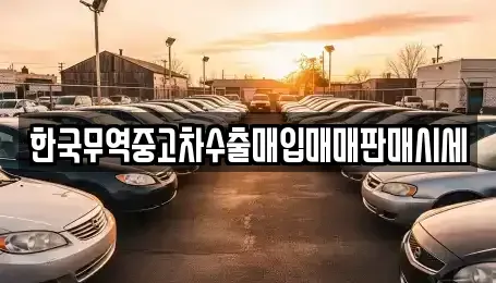 강원특별자치도 춘천시 중앙로2가 중고차매입 전문 한국무역중고차수출매입매매판매시세