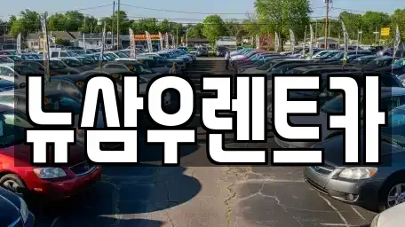 경기 고양시 덕양구 성사동 렌트카 전문 뉴삼우렌트카