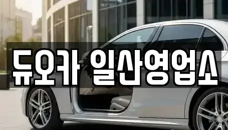 경기 고양시 덕양구 성사동 장기렌트카 전문 듀오카 일산영업소