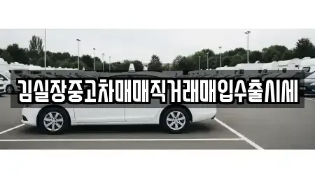경기 고양시 덕양구 성사동 중고차 전문 김실장중고차매매직거래매입수출시세