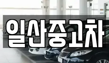 경기 고양시 덕양구 성사동 중고차 전문 일산중고차