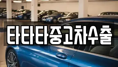 경기 고양시 덕양구 성사동 중고차 전문 타타타중고차수출