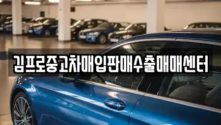 경기 고양시 덕양구 성사동 중고차매입 전문 김프로중고차매입판매수출매매센터