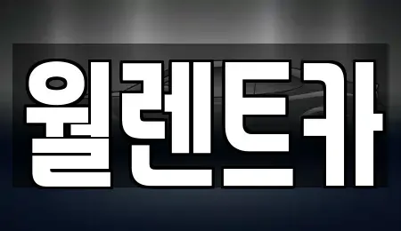 경기 과천시 별양동 렌트카 전문 월렌트카