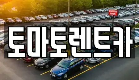 경기 과천시 별양동 렌트카 전문 토마토렌트카