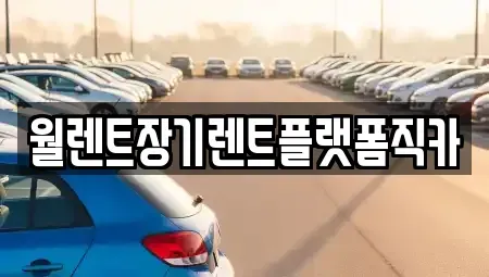 경기 과천시 별양동 장기렌트카 전문 월렌트장기렌트플랫폼직카