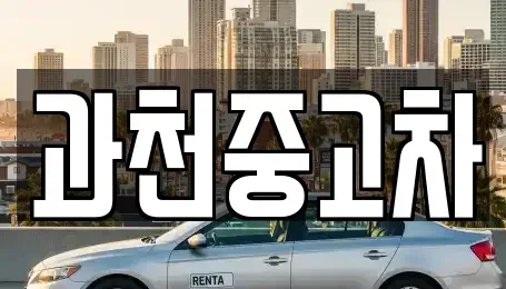 경기 과천시 별양동 중고차매매 전문 과천중고차