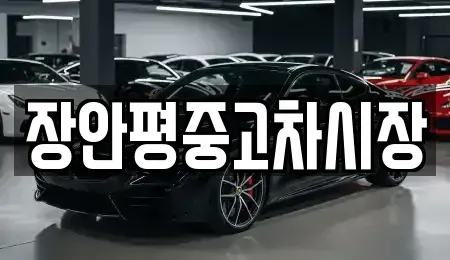 경기 과천시 별양동 중고차매매 전문 장안평중고차시장