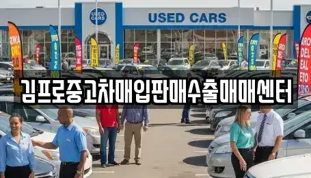 경기 과천시 별양동 중고차매입 전문 김프로중고차매입판매수출매매센터