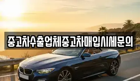 경기 과천시 별양동 중고차매입 전문 중고차수출업체중고차매입시세문의