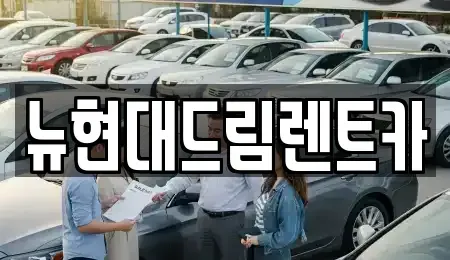 경기 과천시 원문동 렌트카 전문 뉴현대드림렌트카
