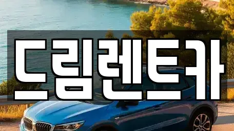 경기 과천시 원문동 렌트카 전문 드림렌트카