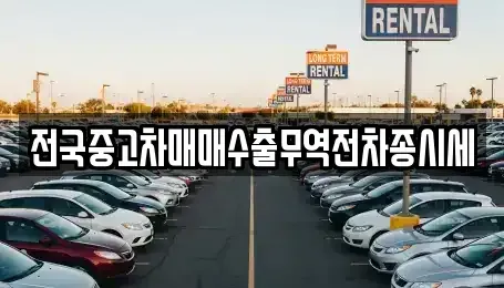경기 과천시 원문동 중고차 전문 전국중고차매매수출무역전차종시세