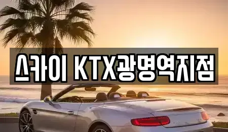 경기 광명시 하안동 장기렌트카 전문 스카이 KTX광명역지점