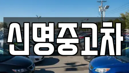 경기 광명시 하안동 중고차 전문 신명중고차