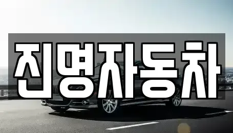 경기 광명시 하안동 중고차 전문 진명자동차