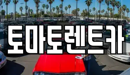 경기 광주시 남종면 렌트카 전문 토마토렌트카