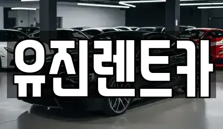 경기 광주시 신현동 렌트카,단기렌트카,장기렌트카,중고차,중고차매매,중고차매입