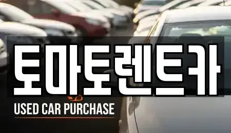 경기 광주시 신현동 렌트카 전문 토마토렌트카