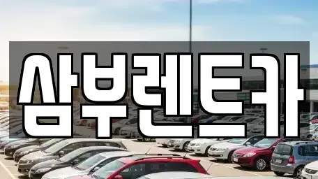 경기 구리시 인창동 렌트카 전문 삼부렌트카