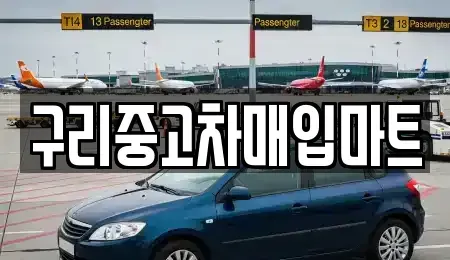 경기 구리시 인창동 중고차 전문 구리중고차매입마트