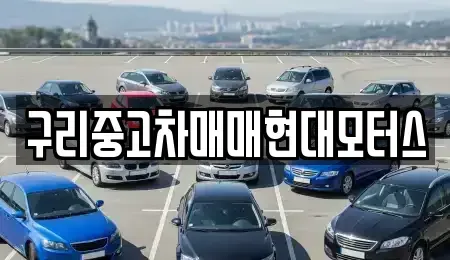 경기 구리시 인창동 중고차매매 전문 구리중고차매매현대모터스