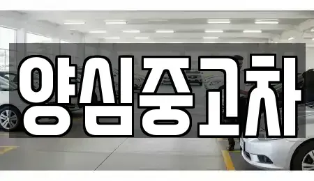 경기 남양주시 조안면 중고차,렌트카,중고차매입,중고차매매,장기렌트카,단기렌트카