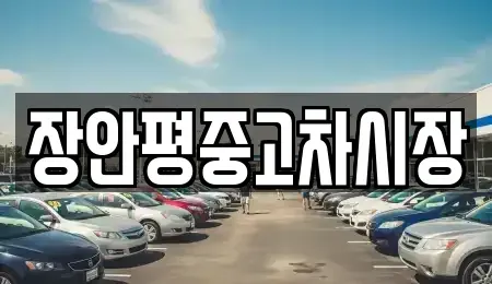 경기 남양주시 조안면 중고차매매 전문 장안평중고차시장