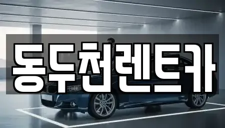 경기 동두천시 생연동 렌트카 전문 동두천렌트카