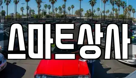 경기 동두천시 생연동 중고차 전문 스마트상사