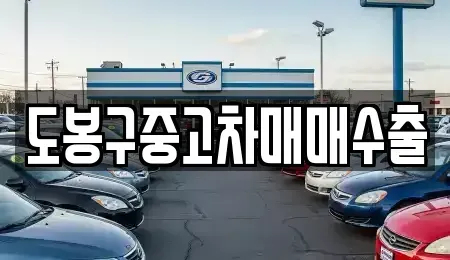 경기 동두천시 탑동동 중고차매매 전문 도봉구중고차매매수출