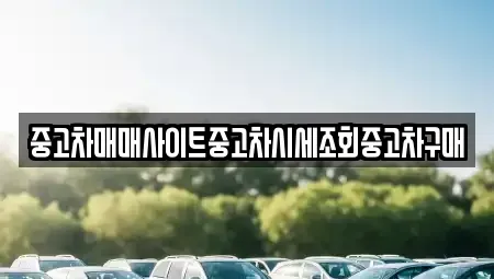 경기 동두천시 탑동동 중고차매매 전문 중고차매매사이트중고차시세조회중고차구매