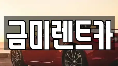 경기 부천시 원미구 춘의동 렌트카 전문 금미렌트카