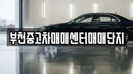 경기 부천시 원미구 춘의동 중고차매매 전문 부천중고차매매센터매매단지