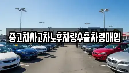 경기 부천시 원미구 춘의동 중고차매입 전문 중고차사고차노후차량수출차량매입