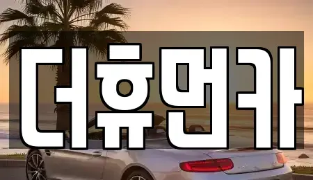 경기 성남시 분당구 정자동 단기렌트카 전문 더휴먼카