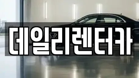 경기 성남시 분당구 정자동 단기렌트카 전문 데일리렌터카