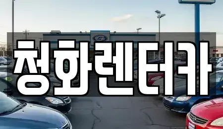 경기 성남시 분당구 정자동 단기렌트카 전문 청화렌터카