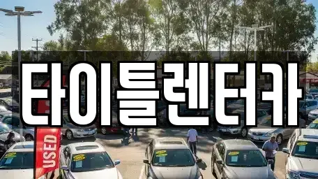 경기 성남시 분당구 정자동 단기렌트카 전문 타이틀렌터카