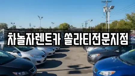 경기 성남시 분당구 정자동 렌트카 전문 차놀자렌트카 쏠라티전문지점