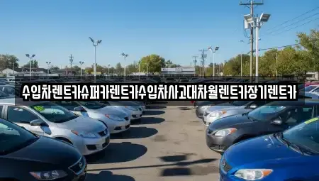 경기 성남시 분당구 정자동 장기렌트카 전문 수입차렌트카슈퍼카렌트카수입차사고대차월렌트카장기렌트카
