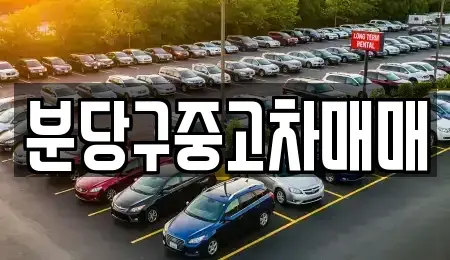 경기 성남시 분당구 정자동 중고차매매,단기렌트카,중고차매입,장기렌트카,중고차,렌트카