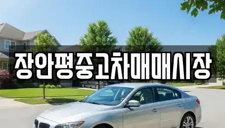 경기 성남시 분당구 정자동 중고차매매 전문 장안평중고차매매시장