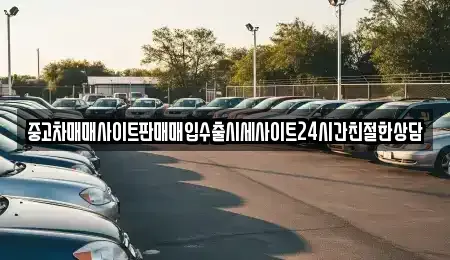 경기 성남시 분당구 정자동 중고차매매 전문 중고차매매사이트판매매입수출시세사이트24시간친절한상담