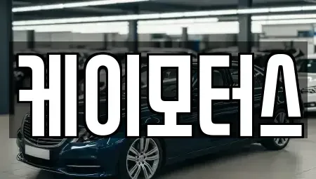 경기 성남시 분당구 정자동 중고차매매 전문 케이모터스