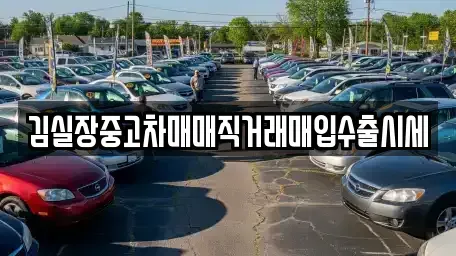 경기 성남시 분당구 정자동 중고차매입 전문 김실장중고차매매직거래매입수출시세