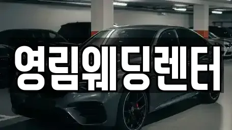 경기 성남시 수정구 시흥동 단기렌트카 전문 영림웨딩렌터