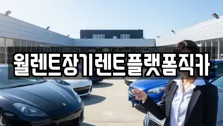 경기 성남시 수정구 시흥동 렌트카 전문 월렌트장기렌트플랫폼직카