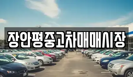 경기 성남시 수정구 시흥동 중고차매매 전문 장안평중고차매매시장